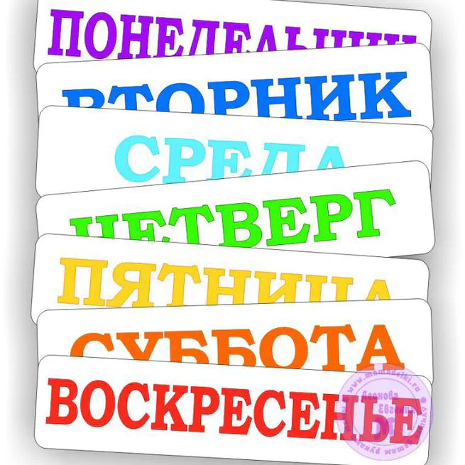 Моя неделя